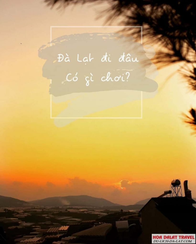Đà Lạt có gì chơi