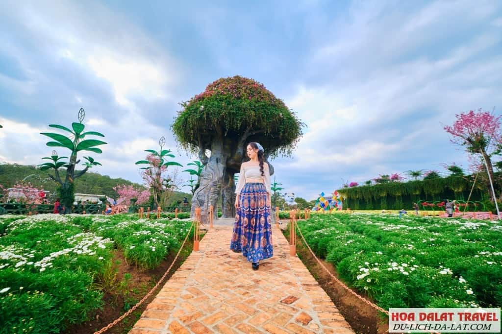Đà Lạt có gì đẹp