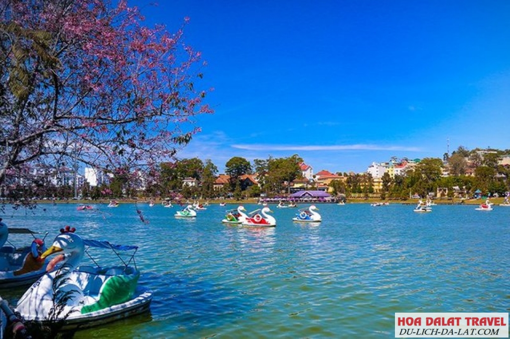 Đạp Vịt trên Hồ Xuân Hương
