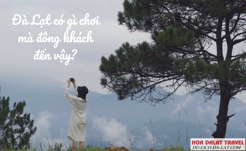 Du lịch Đà Lạt 2021