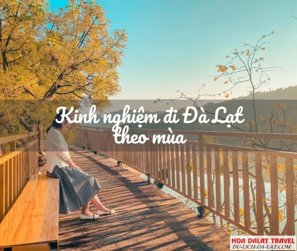 Kinh nghiệm đi chơi Đà Lạt theo mùa