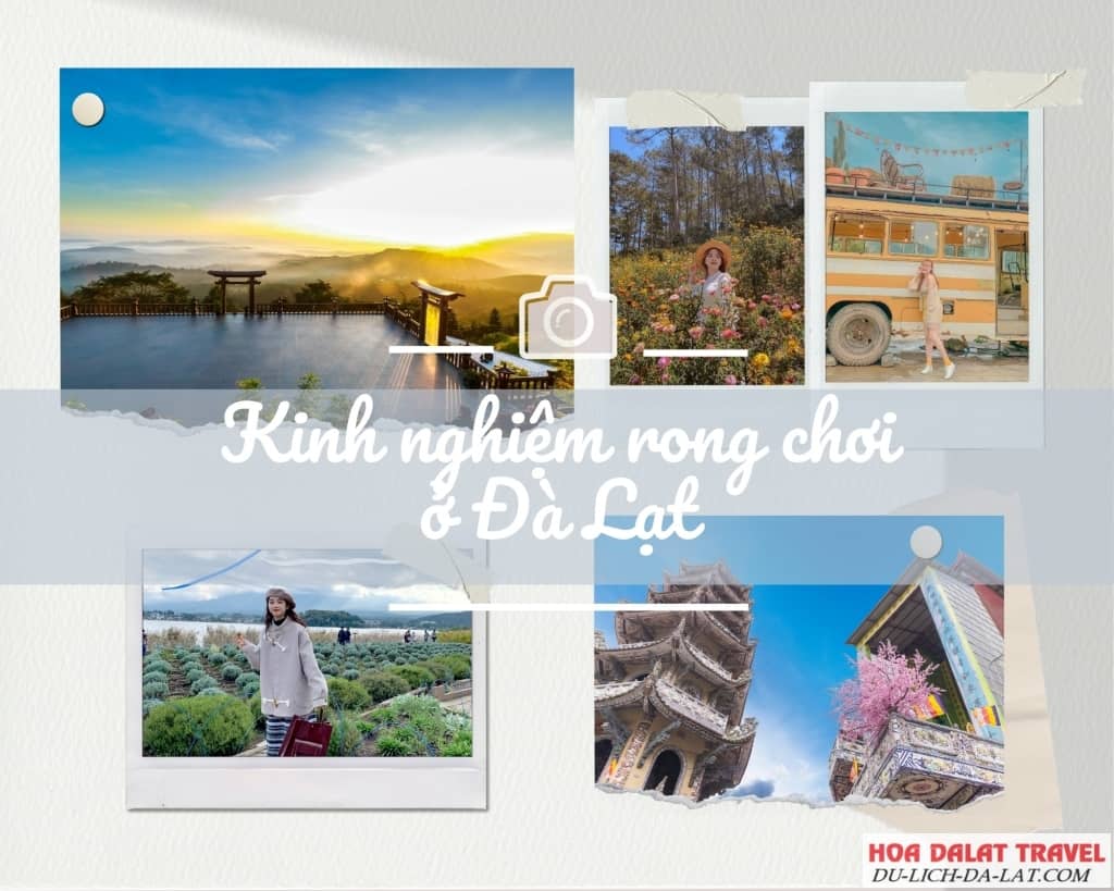 Kinh nghiệm rong chơi ở Đà Lạt