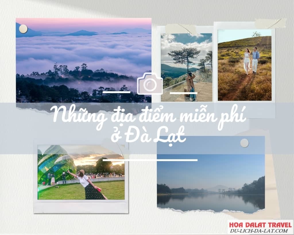Những địa điểm vui chơi miễn phí ở Đà Lạt