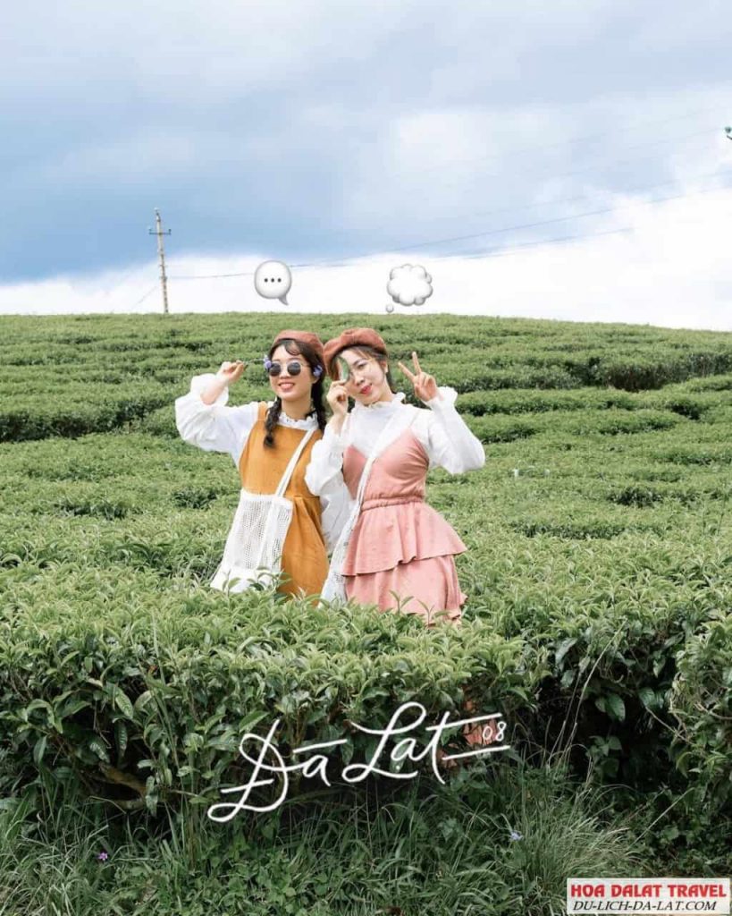 Rong chơi Đà Lạt tự túc