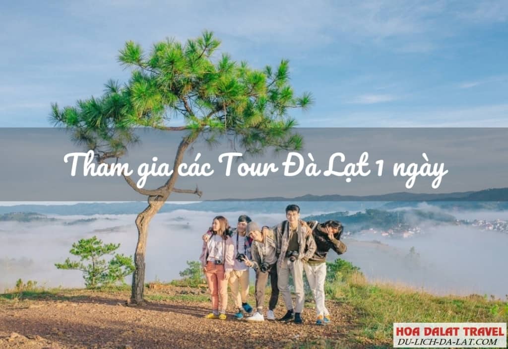 Tham gia các chương trình Tour 1 ngày Đà Lạt