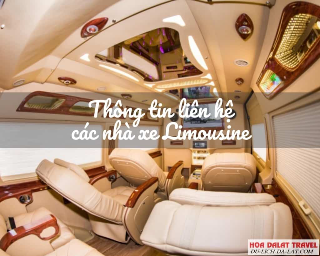 Thông tin liên hệ các nhà xe Limousine