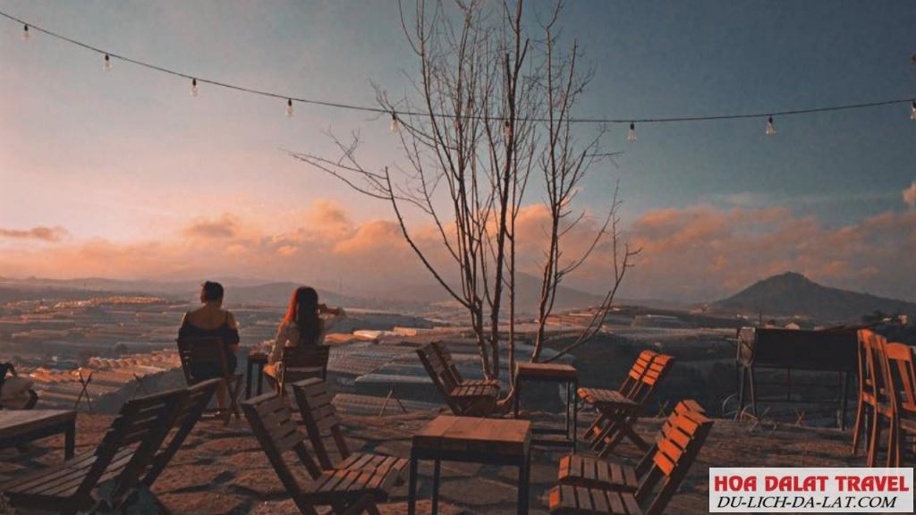 Top những quán cafe có view đẹp ngất ngay tại Đà Lạt