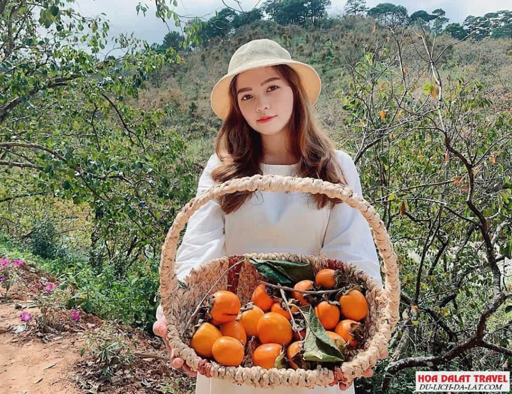 hình ãnh chụp ở vườn hồng