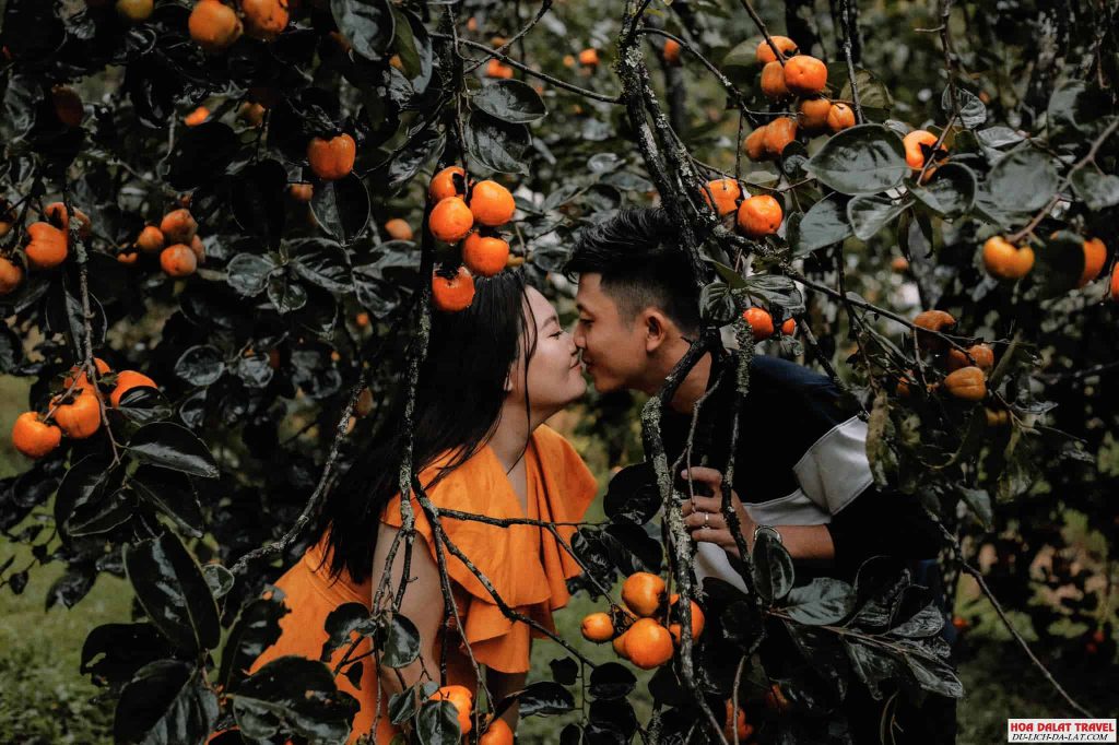 hình ảnh chụp ở vườn hồng giòn