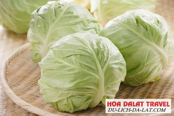 Rau Đà Lạt
