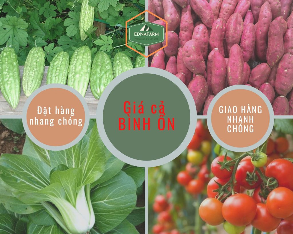 thương hiệu nông sản Đà Lạt Ednafram