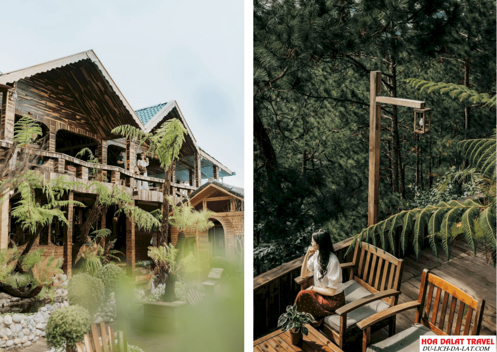 Tê Mồi Quán Đà Lạt