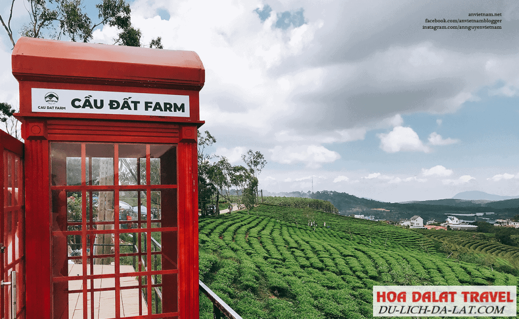 Cầu Đất Farm