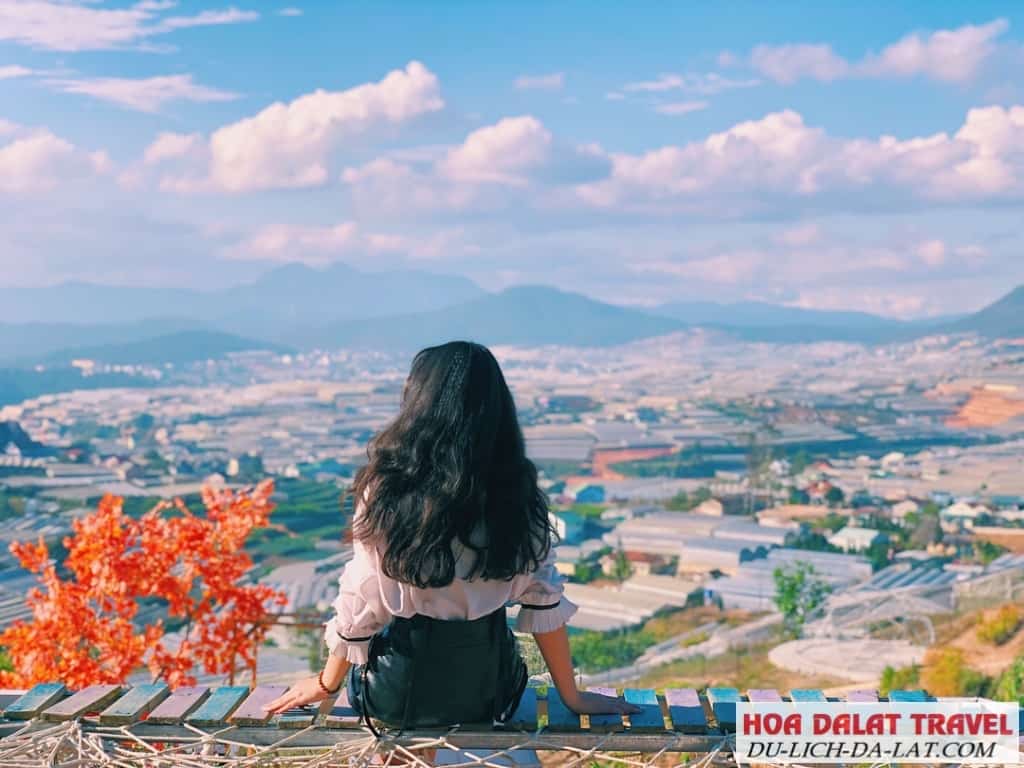 Check in Sunny Farm Đà Lạt
