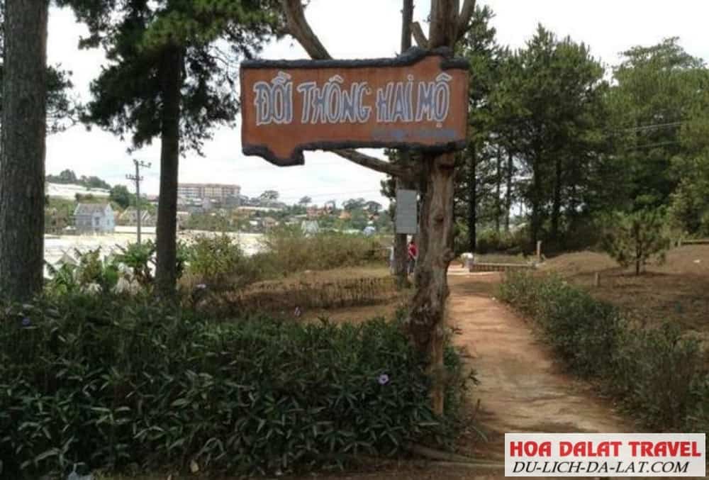 Đồi Thông Hai Mộ