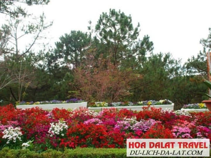 Đôi nét về vườn hoa Minh Tâm