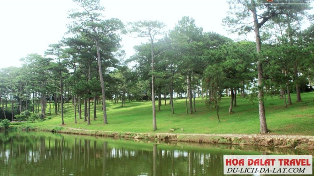 Khung cảnh nhẹ nhàng nên thơ