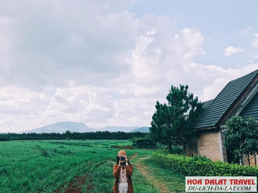 NÔNG TRẠI Ở ĐÀ LẠT – nét đặc trưng của vùng đất mộng mơ