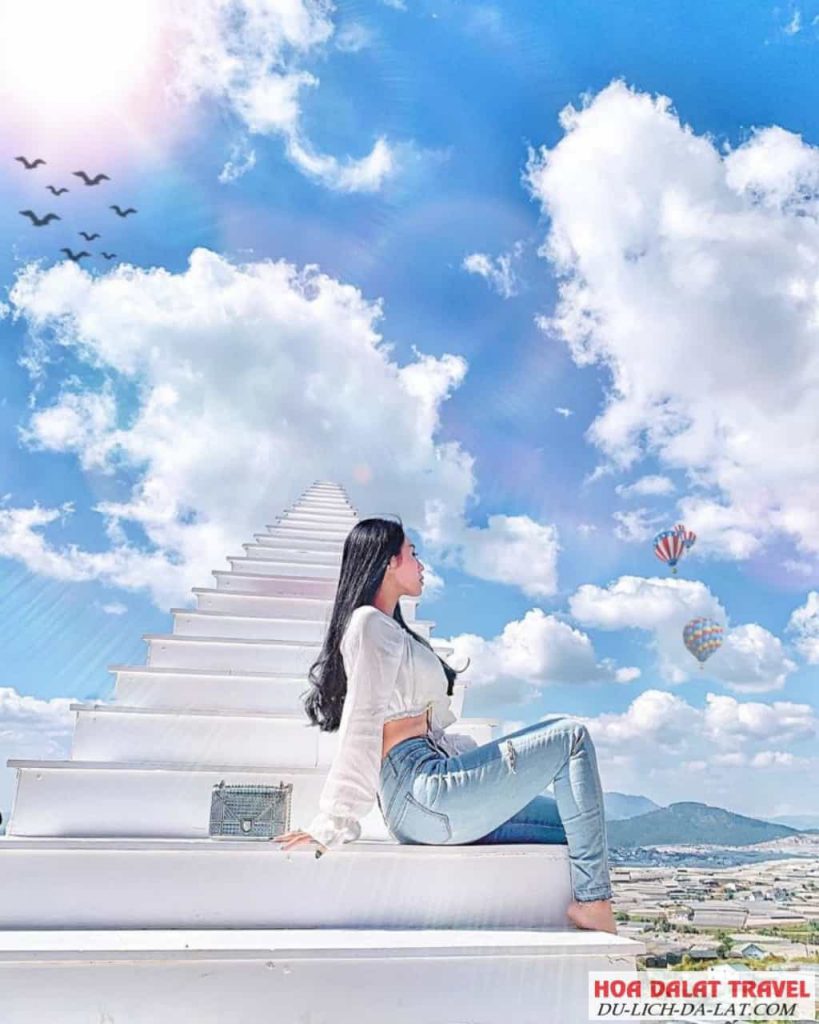 Nấc thang lên thiên đường tại Sunny Farm