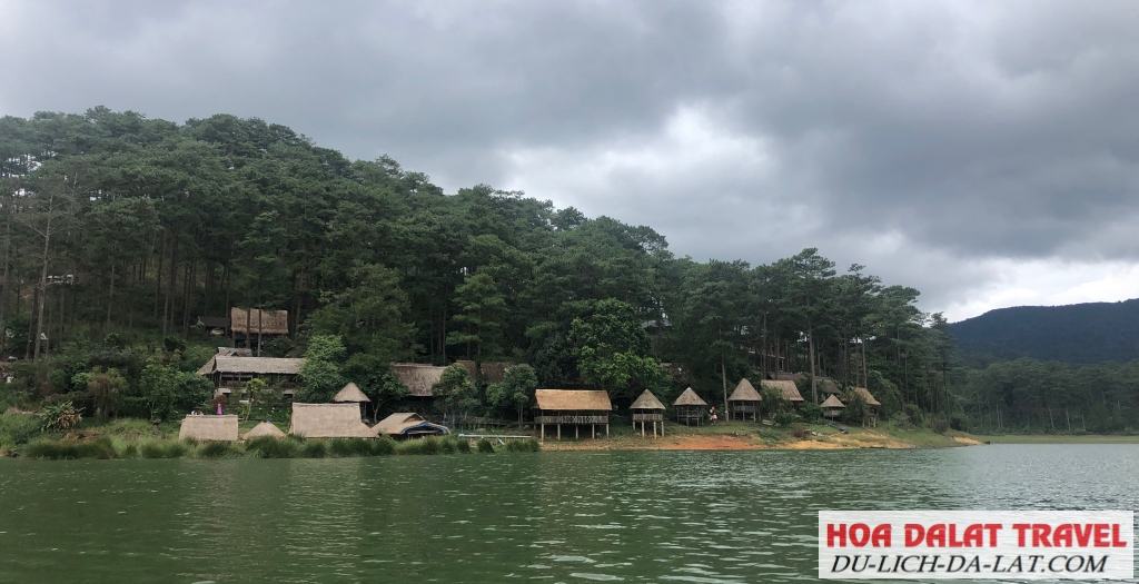 Những cánh rừng đại ngàn nguyên sơ