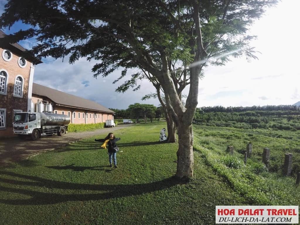 Những nông trại được rất nhiều bạn trẻ yêu thích