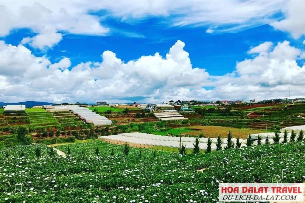 Trại Mát – Nông trại Đà Lạt có giá trị cao về nông sản