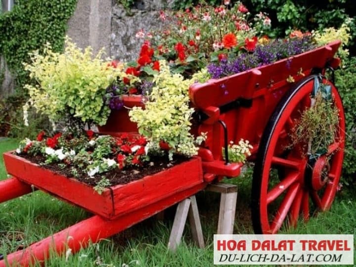 Trăm hoa đua nở tại vườn Hoa Minh Tâm