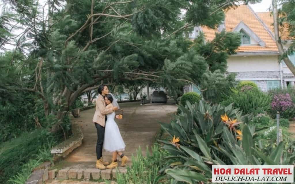 Vườn Nhật Bản sau lưng biệt thự Lam Ngọc