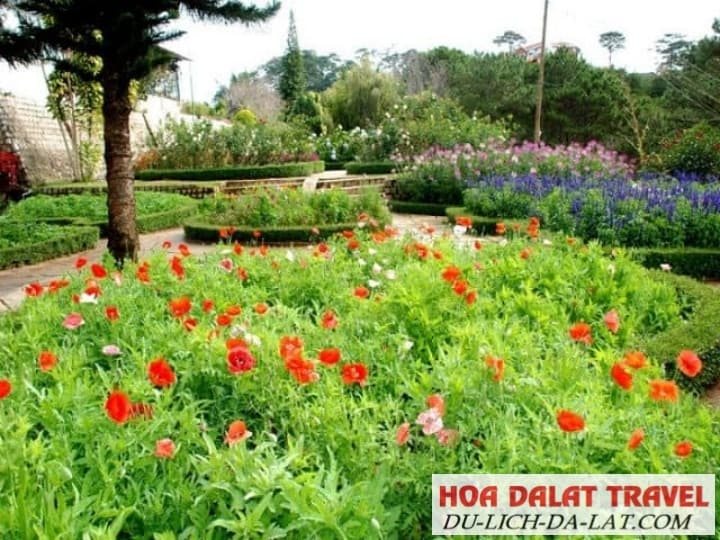Vườn hoa rực rỡ nhưng yên bình giữa lòng thành phố