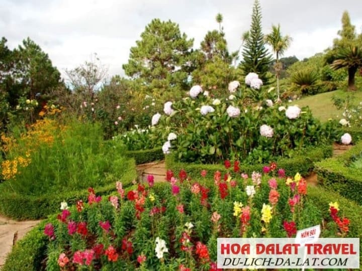 Vườn hoa với rất nhiều loài hoa quý hiếm