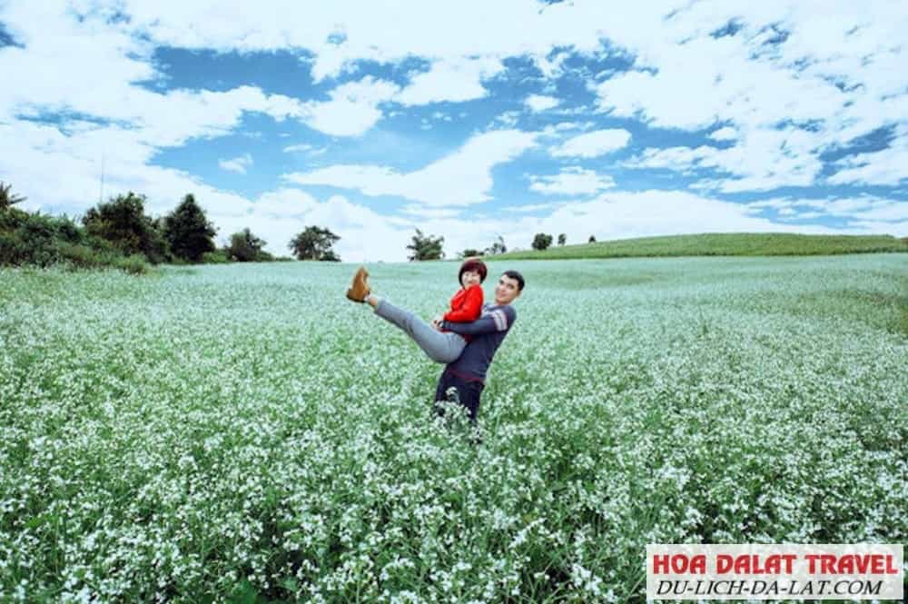 Cánh đồng hoa cải trắng Tà Nung
