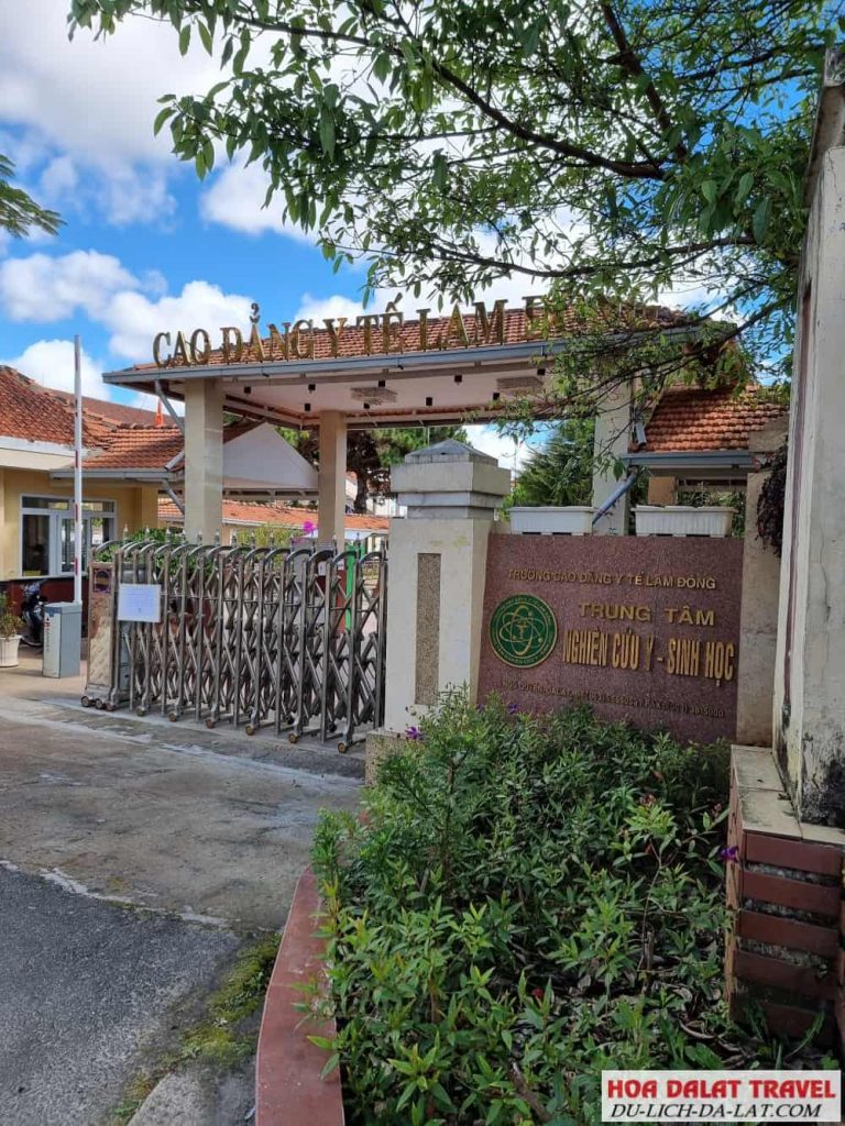 Cao Đẳng Y Tế Lâm Đồng