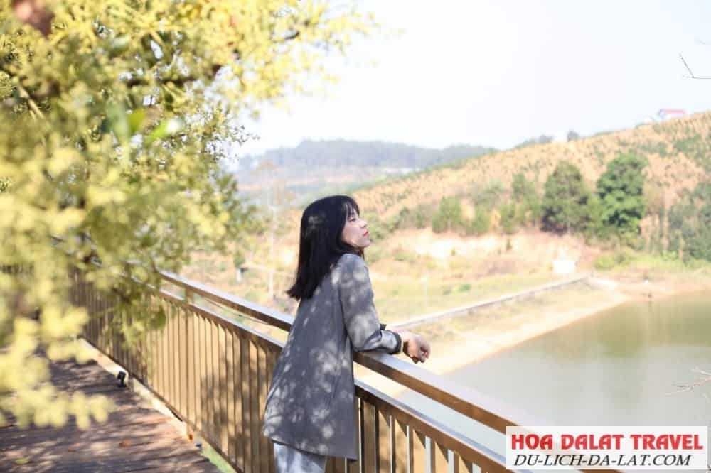 Checkin tháng 5 Đà Lạt