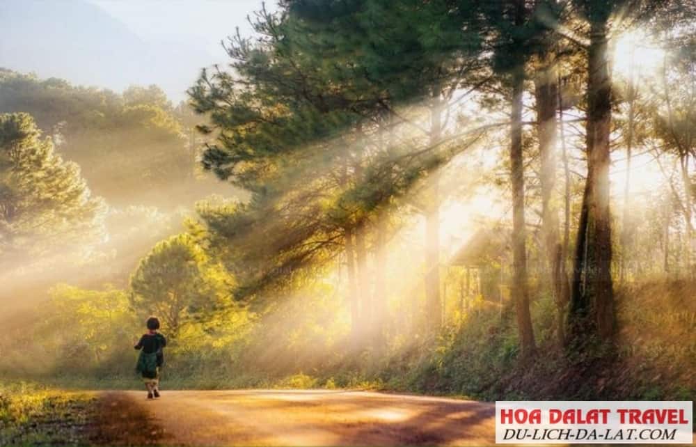 Đà Lạt tháng 5 có gì đẹp
