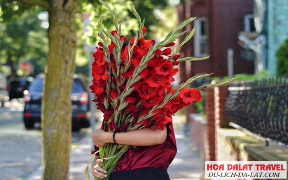 Đặc điểm của hoa