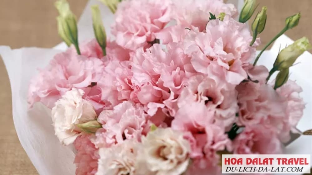 Đặc điểm của hoa