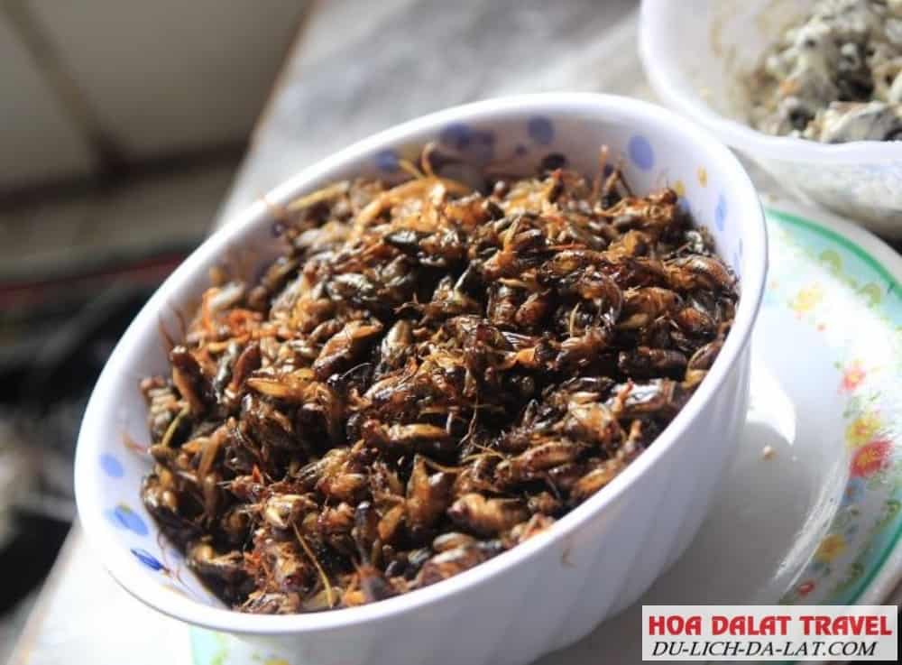 Đặc sản trại dế huyện Lâm Hà