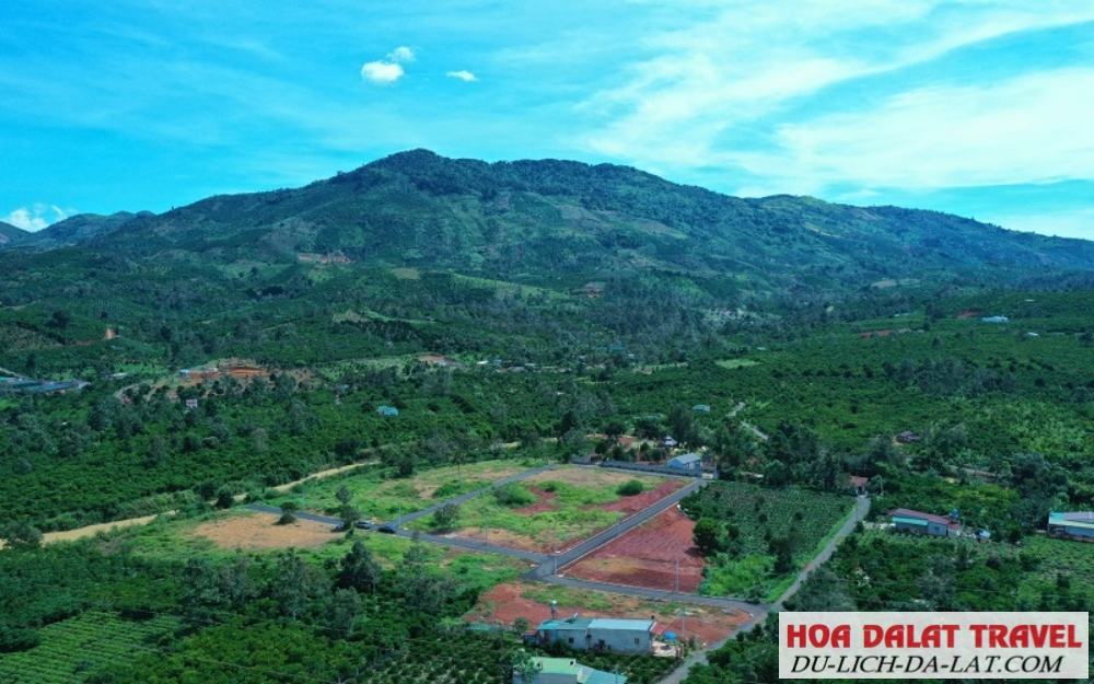 Địa hình