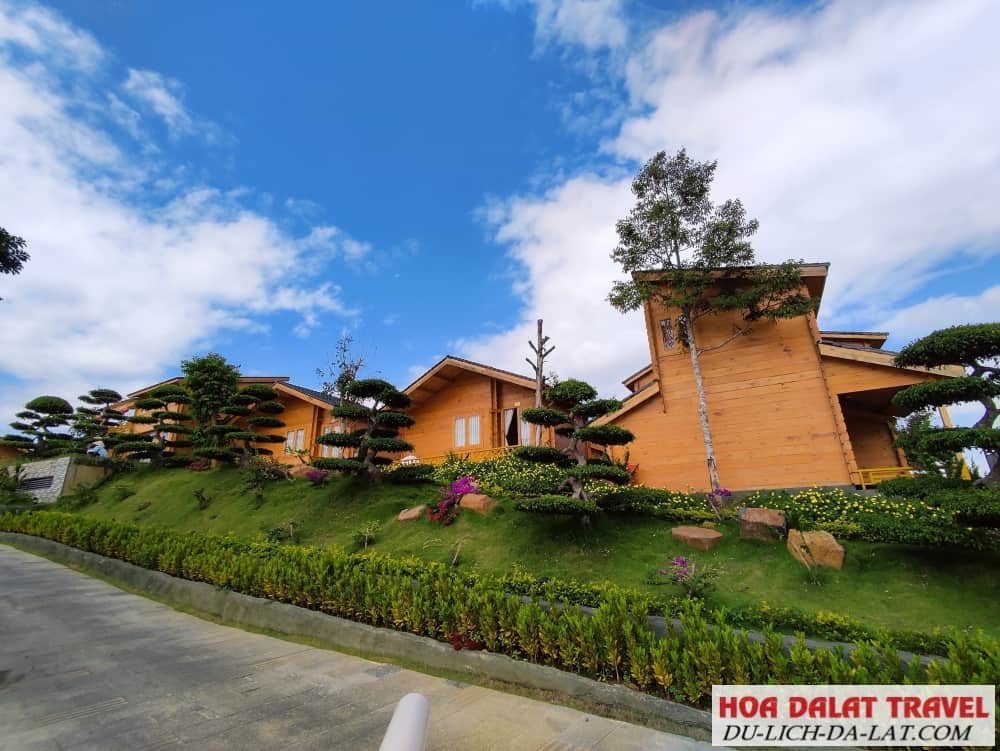 DoiDep Tea Resort