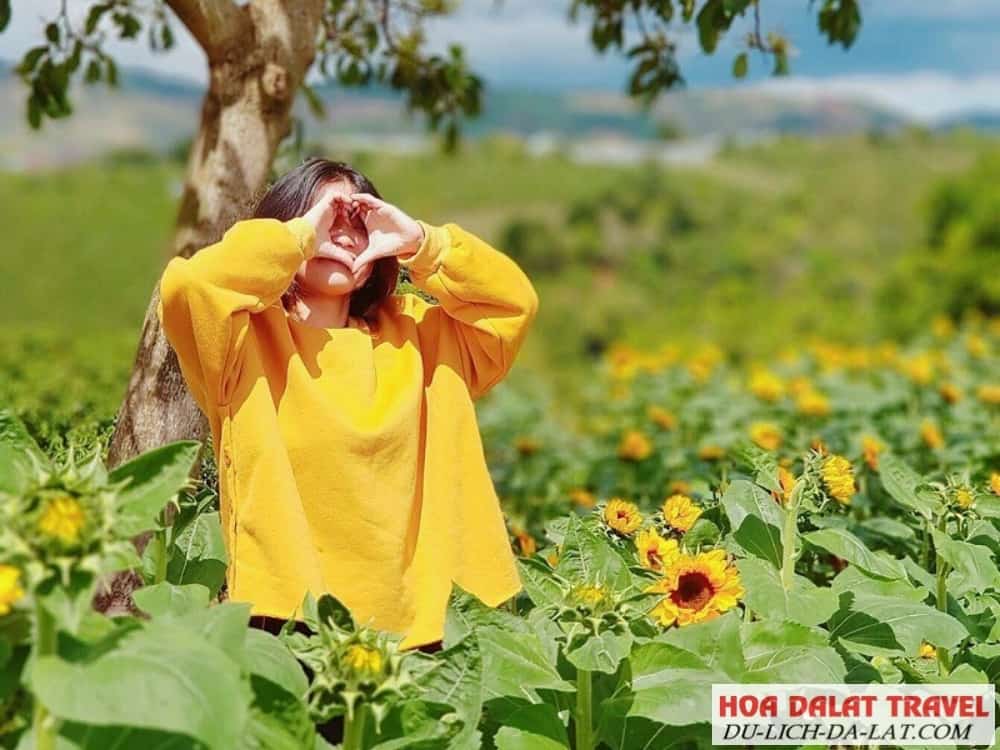 Du lịch ở Đà Lạt tháng 5
