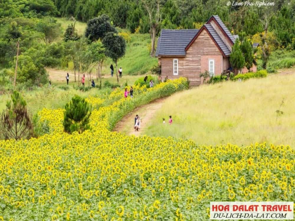 Du lịch tháng 5 Đà Lạt