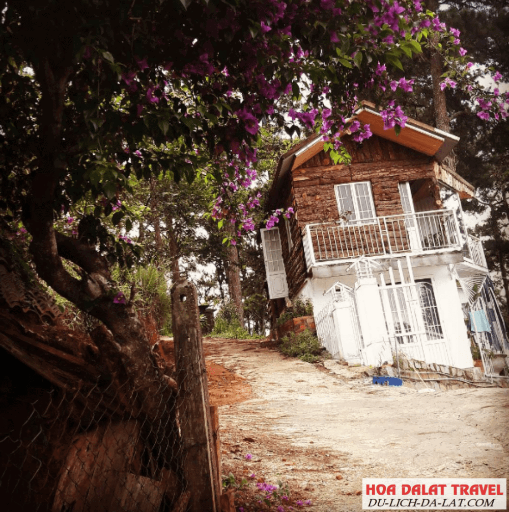 Đường đến Indigo