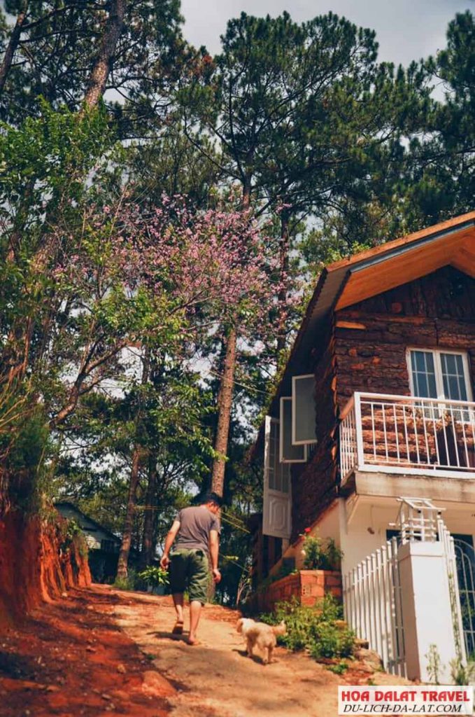 Giới thiệu về Indigo Home