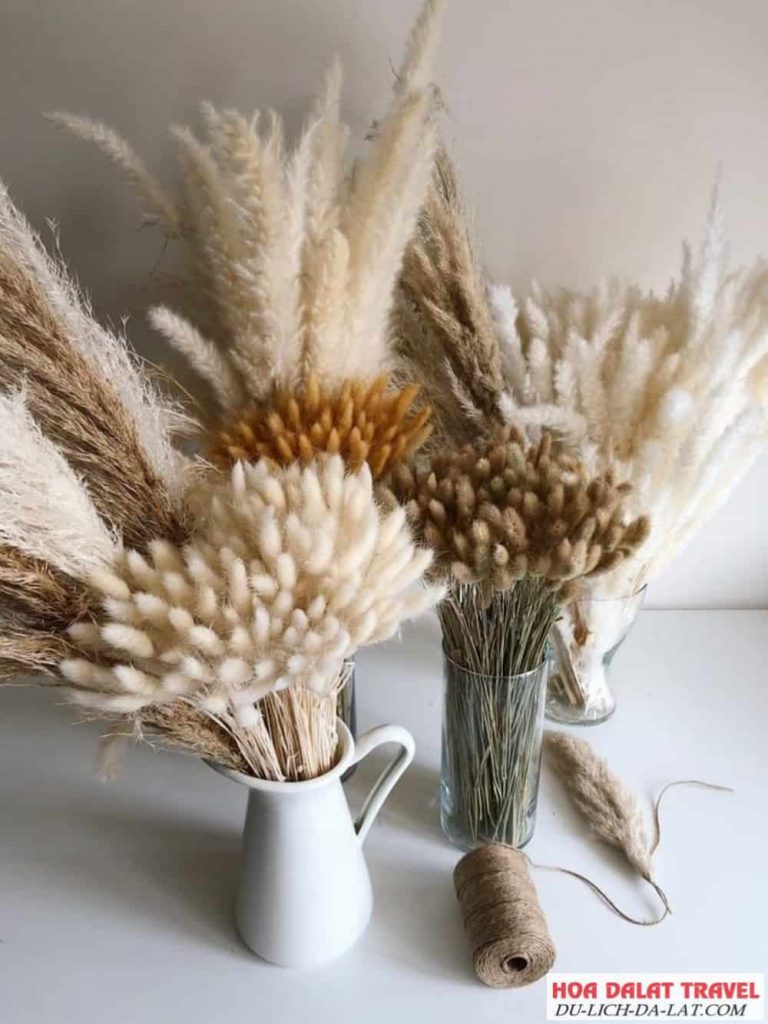 Hoa khô Đà Lạt