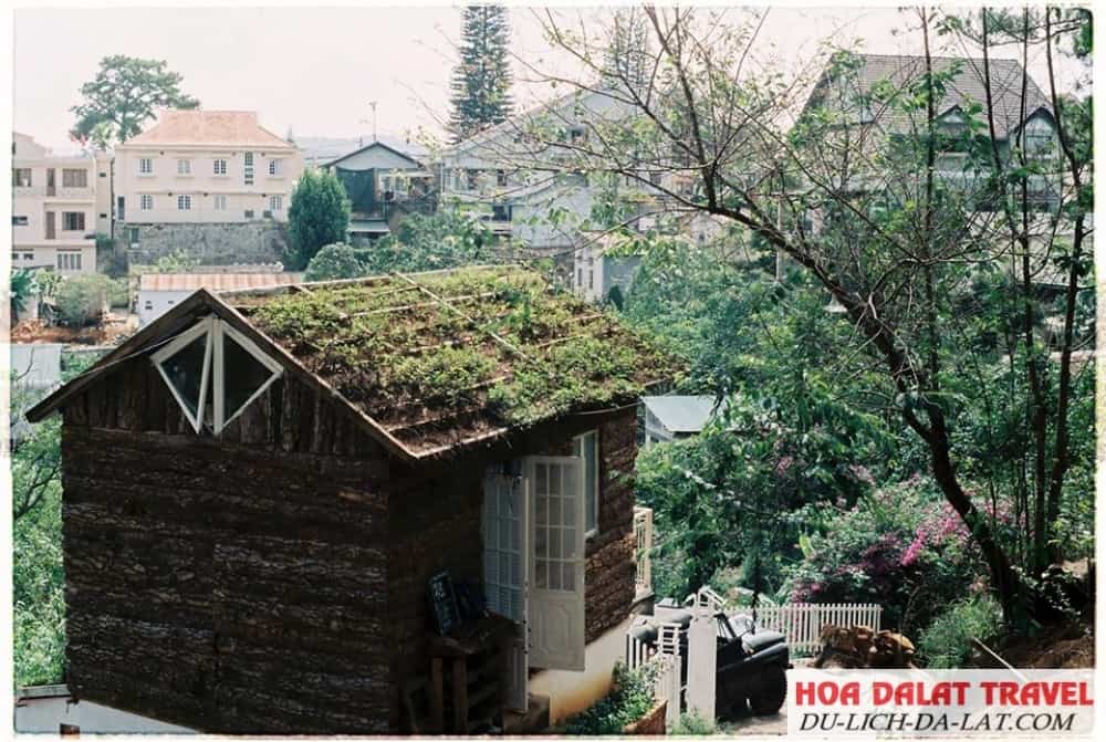 Indigo Home quả thực là một nơi tuyệt vời