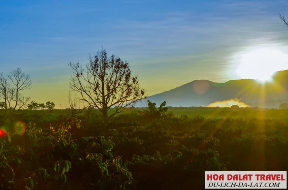 KHÍ HẬU