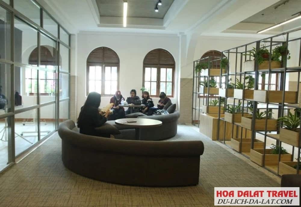 Khu vực trưng bày sách trên những giá gỗ màu nâu đẹp mắt.