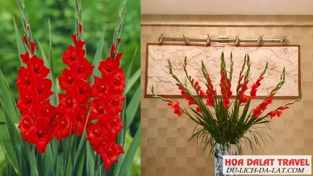 Kiểu này đơn giản nhưng sang trọng