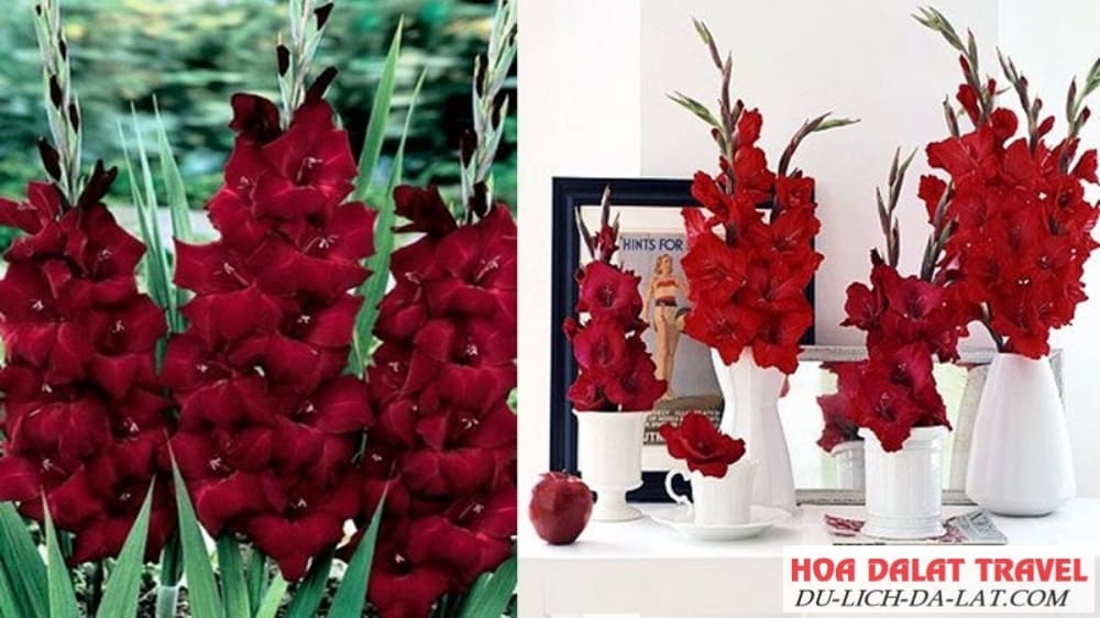 Kiểu này phù hợp với để bàn