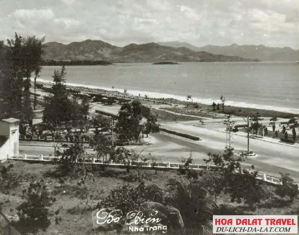 Lịch Sử